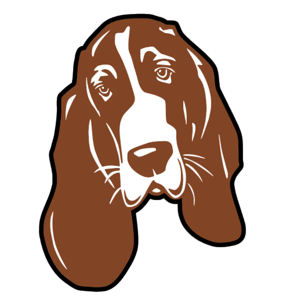 Basset Hound Face Acrylic Blank - Image 2