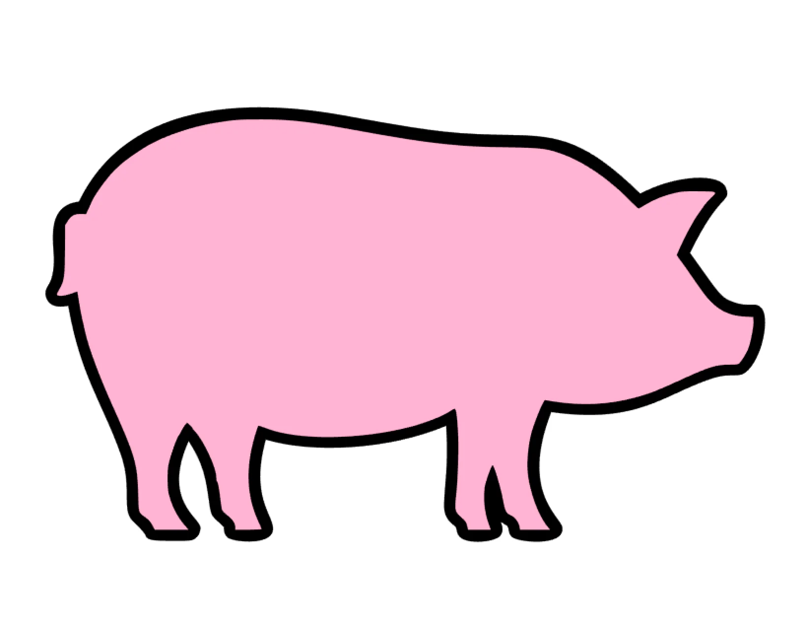 Pig Hog Acrylic Blank - Image 2